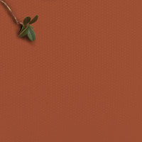 Burnt Orange - 100% Cotton fabric for curtains, blinds and upholstery