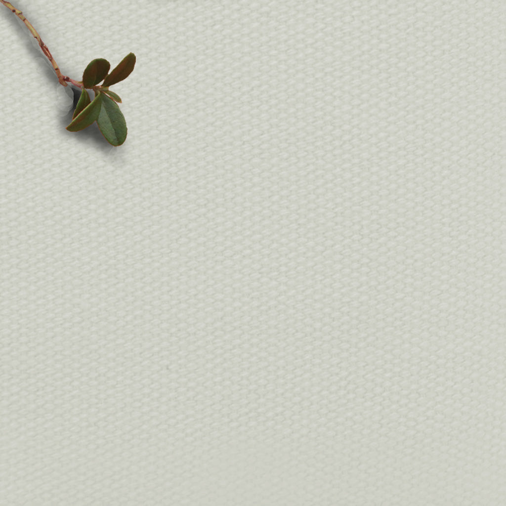 Amara Chiffon - Light grey 100% Cotton fabric for Curtains, Blinds and Upholstery