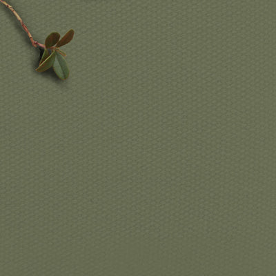 Ivy Green - 100% Cotton fabric for Curtains, Blinds and Upholstery