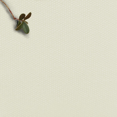 Amara Cream - 100% Cotton fabric for curtains, blinds and upholstery
