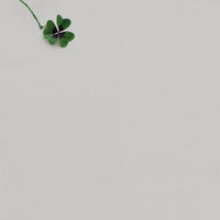 Anna Dove - Very Light Dove Grey 100% Cotton fabric for blinds and drapes