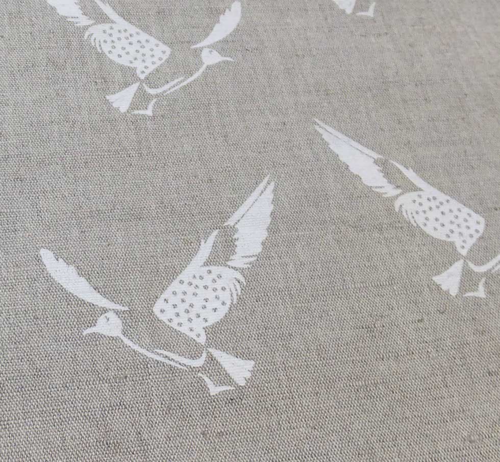 Hummingbird White