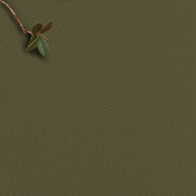 Amara Magic Pine - Green cotton fabric for curtains, upholstery