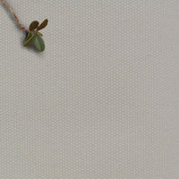 Amara Smoke Grey - 100% Cotton fabric for Curtains, Blinds and Upholstery 